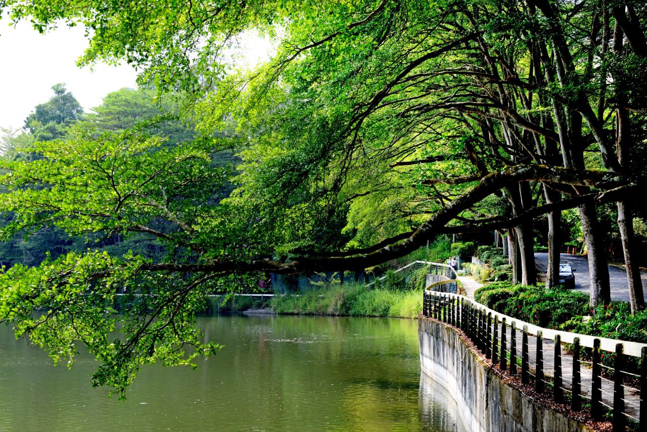 ▲湖光山色加森林浴！虎頭埤串聯新化山線打造低碳慢旅行。（圖／台南市觀旅局提供）