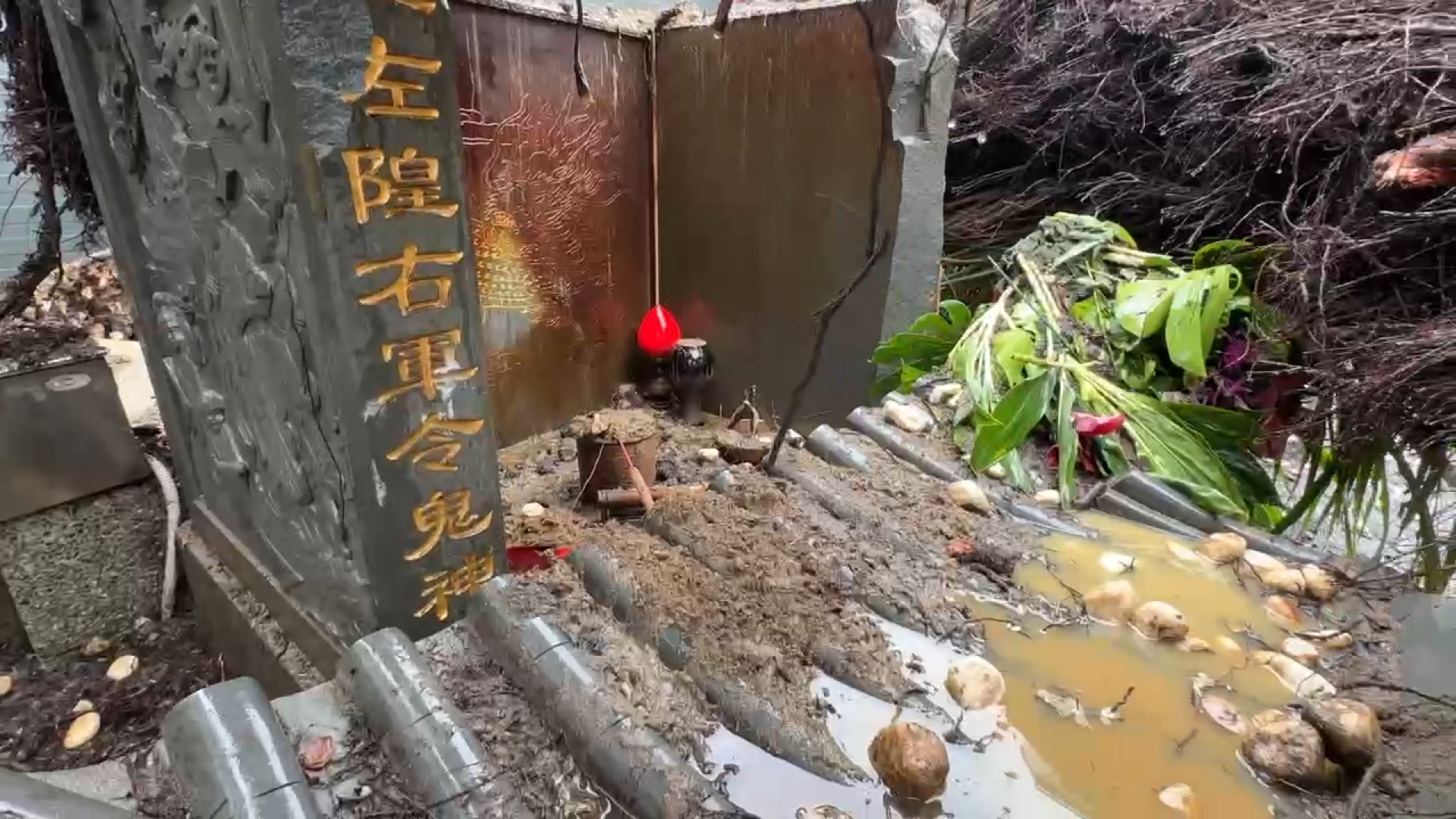 ▲廟前老榕突倒砸五營，民俗專家示警。（圖／記者 楊子安 攝）