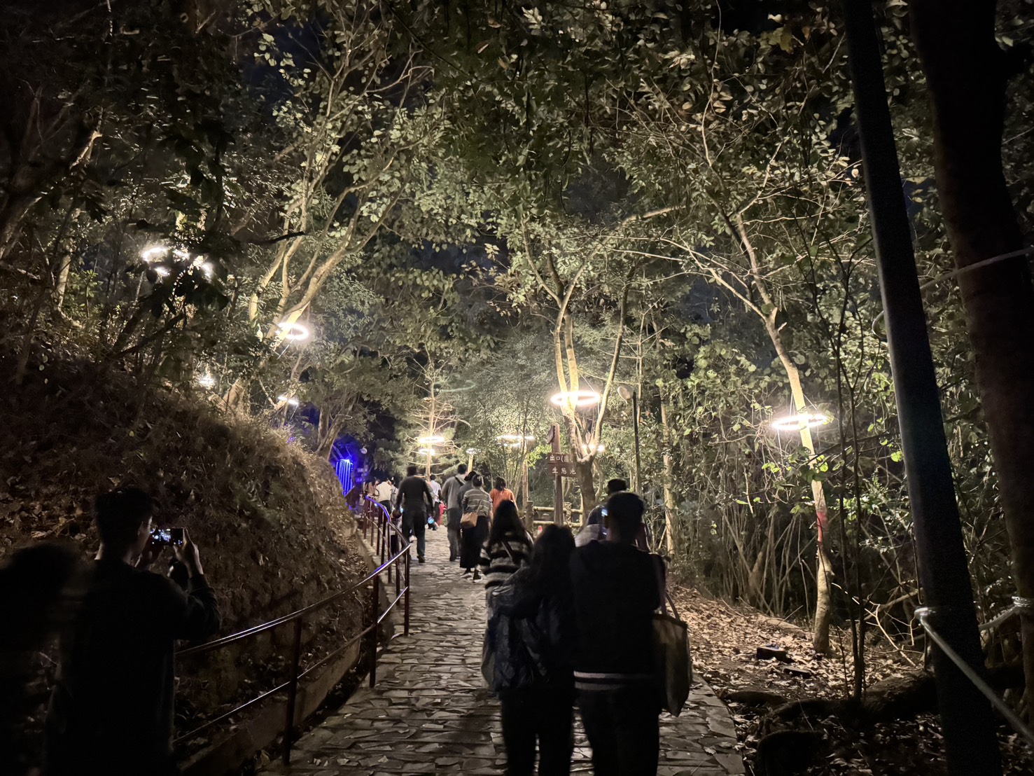 ▲空山祭《山林呼喚》奪倫敦設計獎金獎。(圖/台南市文化局提供)