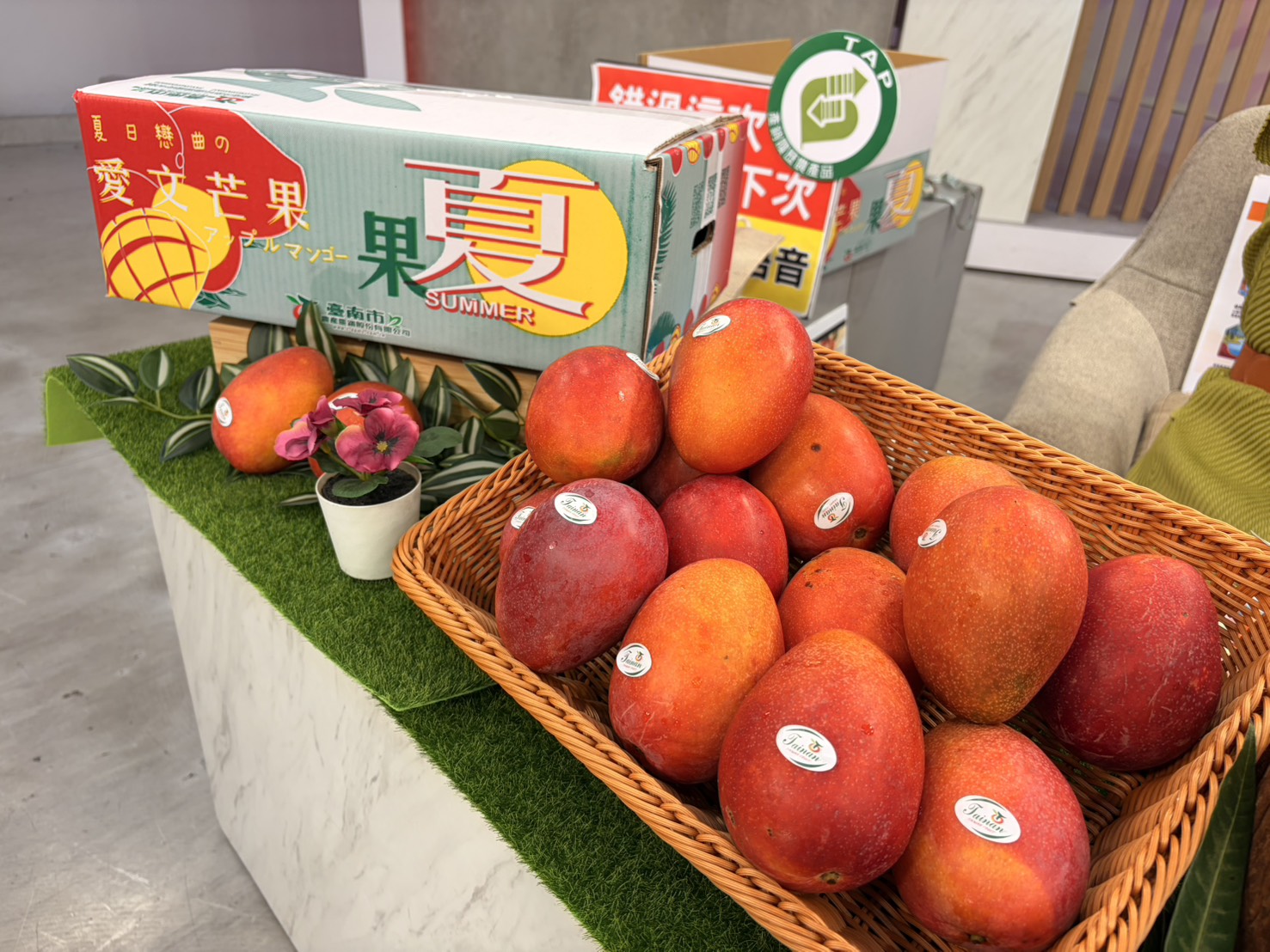 ▲市長黃偉哲今(8)日再度化身「最強農產推銷員」，前往東森農場直播現場行銷台南愛文芒果，3千公斤全部完售。（圖／台南市政府提供）