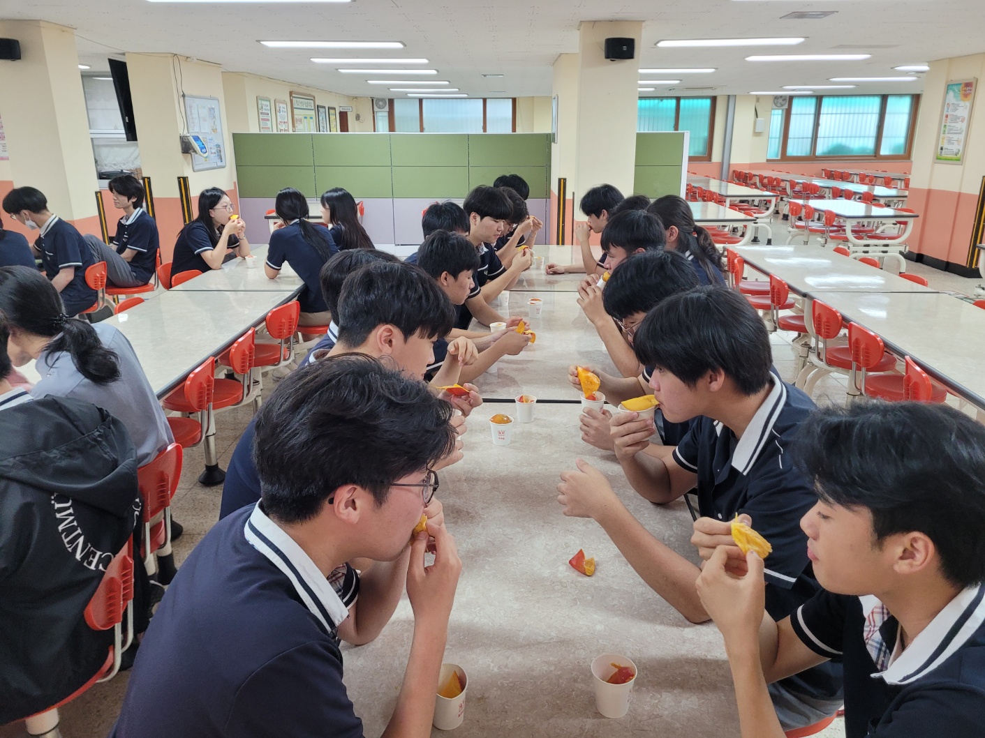 ▲從鳳梨到愛文芒果,台南深化韓國交流,年輕世代愛上台南水果。(圖/台南市政府提供)